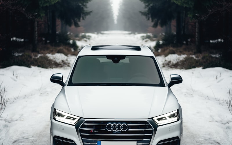 Hundetraining Schockhalsband Elektrisches Hundehalsband Mit