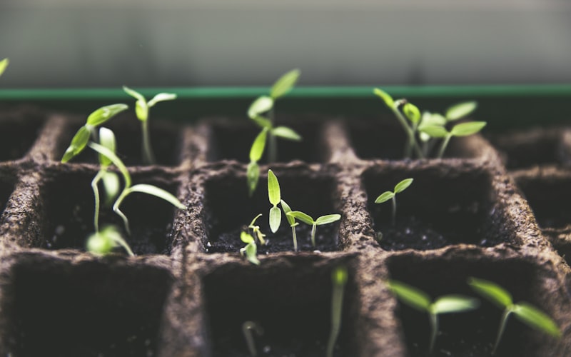 Manner Sexy Unterhose Physiotherapie Gesundheit Magnet