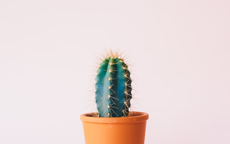 Schatten Segel Terrasse Sonnenschutz Markise Garten Aussen — Airyclub