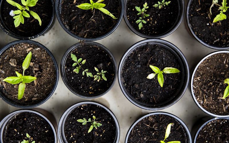 Stretch Soft Recliner Schonbezug Sofa Protector Couchbezug S