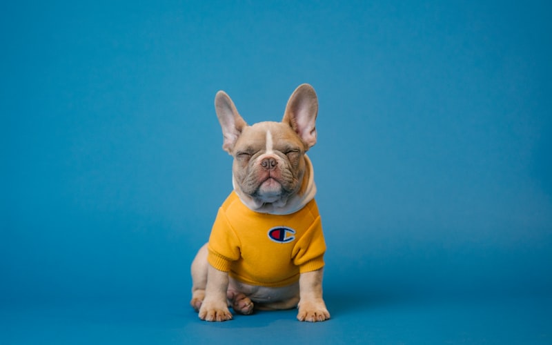 1Pc Painting Alphabet Number Airbrush Stencils Scrapbooking