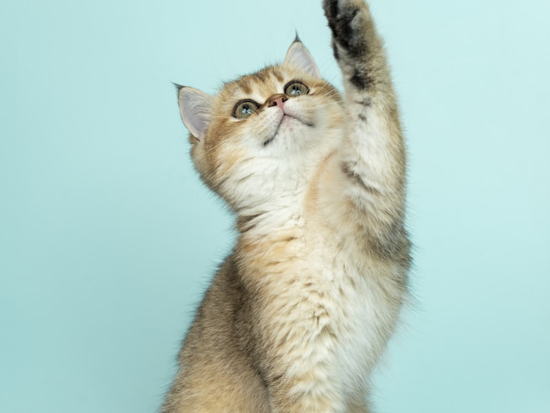 Diy Marmor Dekorative Folie Selbstklebende Pvc Tapete