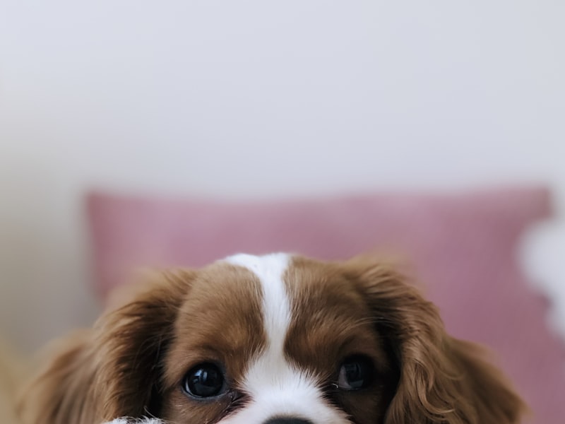 Hgkj 11 20Ml Car Scratch Repair Liquid Polishing Wax Paint S