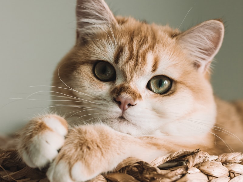 120 Blatt Kreative Bunte Notizblock Haftnotizen Memo Papier Index