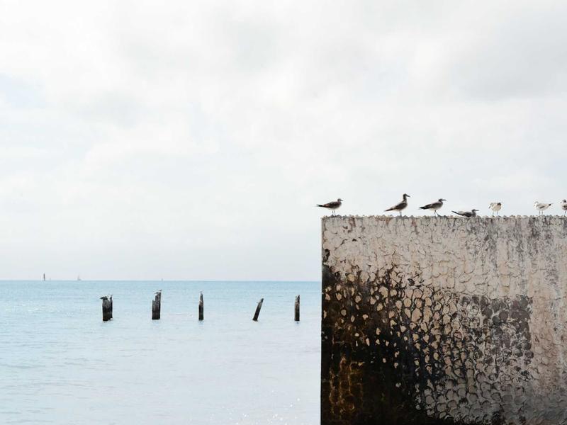 6 Stucke Reissverschluss Universal Instant Fix Zipper Repair Kit