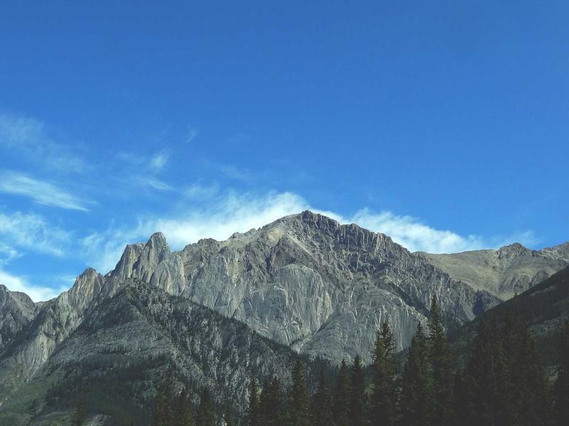 3 Stucke Silikon Turstopper Wandschutz Turgriff Stossstangen — Airyclub