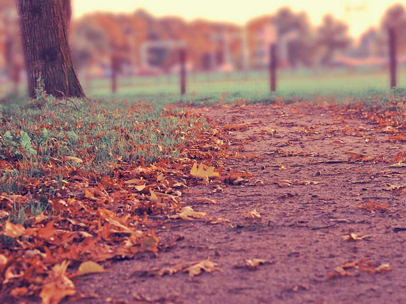 New Portable Center Scriber Rockler Centre Woodworking Marking