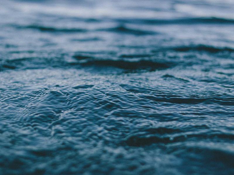 Damenmode Lassig Bowknot Verband Design Hose Damen Wild